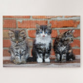 Schattigee Kittens die voor een bakstenen muur zit Legpuzzel (Horizontaal)