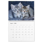 Schattigee Kittens Kalender (Mar 2026)