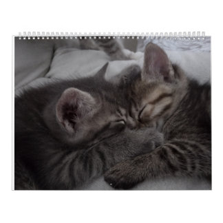 Schattigee Kittens Kalender