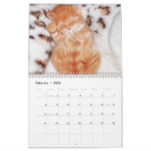 Schattigee Kittens Kat Pet Fotokalender Kalender (Feb 2026)