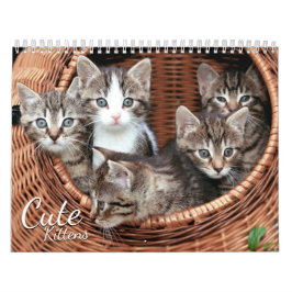Schattigee Kittens Kat Pet Fotokalender Kalender