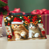 Schattigee kittens met Sinterklaas en rendieren pe Bedankkaart
