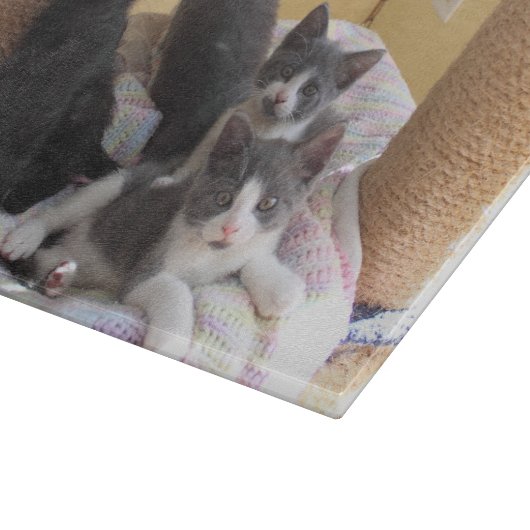 Schattigee Kittens snijplank (Hoek)