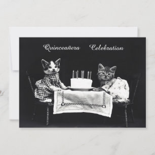 Schattigee  Kittens Verjaardagsfeest Kaart