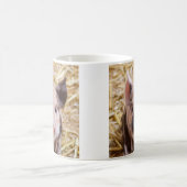 Schattigee kleine biggetje Mok (Center)