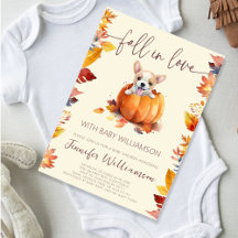 Schattigee kleine pompoen Herfst in liefde Baby sh