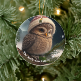 Schattigee kleine uil over een besneeuwde boom Cus Keramisch Ornament