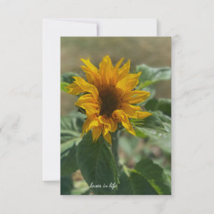 Schattigee kleine zonnebloem notitiekaartje