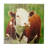 Schattigee knuffel Koe Vriend 4Jeremy Tegeltje (Voorkant)