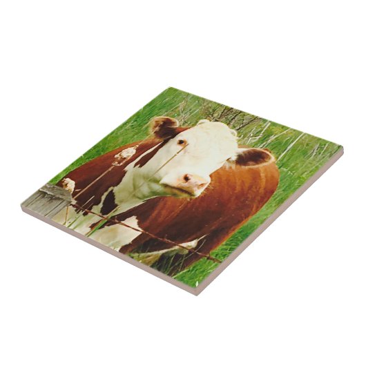 Schattigee knuffel Koe Vriend 4Jeremy Tegeltje (Zijkant)