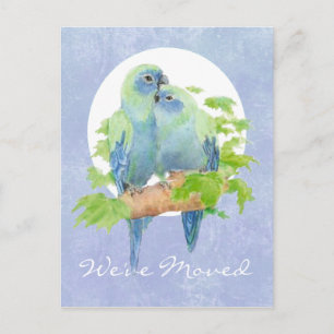 Schattigee Knuffelen Tropische Papegaaien Adres Ni Aankondigingskaart