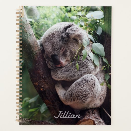 Schattigee Koala Beer Dierenvrienden Jaarlijks Planner (Voorkant)