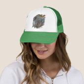 Schattigee Koala Trucker Hat Pet (In situ)