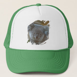Schattigee Koala Trucker Hat Pet