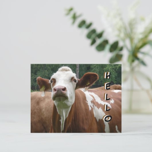 Schattigee Koe Cust. Hallo Briefkaart (Staand voorkant)