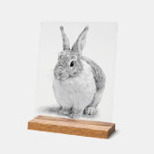 Schattigee konijnenpotloodtekening acryl bord (Hoek)