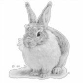 Schattigee konijnenpotloodtekening sticker (Voorkant)