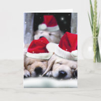 Schattigee labrador puppies met x-mas petten
