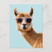 Schattigee lama met zonnebril op briefkaart (Voorkant)