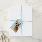 Schattigee lama met zonnebril op cadeaulabel (Met Touw)