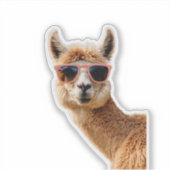 Schattigee lama met zonnebril op sticker (Voorkant)