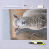 Schattigee Lamb Foto Decoupage Tissuepapier (Craft)