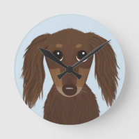 Schattigee langharige chocolade bruine teckel