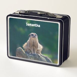 Schattigee Little Meerkat Metal Lunchbox