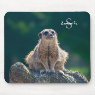 Schattigee Little Meerkat Muismat