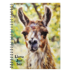 Schattigee Llama Face Animal Art Journal Notitiebo Notitieboek