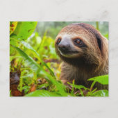 Schattigee luiaardsteun feestdagenkaart (Voorkant)