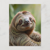 Schattigee luiaardsteun feestdagenkaart (Voorkant)