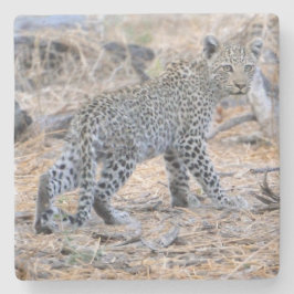 Schattigee luipaard welp onderweg. stenen onderzetter