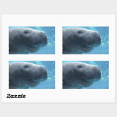 Schattigee Manatee Peeking uit naar je Stickers (Vel)