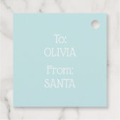 Schattigee Mint Snowy Snowflake Stars Bedankjes Labels (Achterkant)