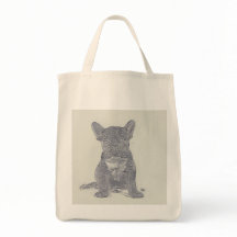 Schattigee moderne Franse Bulldog verontruste foto