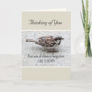 Schattigee mus vogel foto bijbel vers eenvoudige t kaart