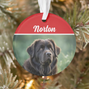Schattigee Newfoundland Hond Vakantie Kerstfoto Ornament