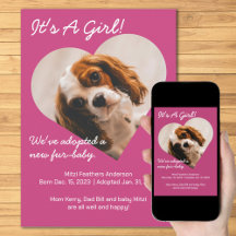 Schattigee nieuwe puppy