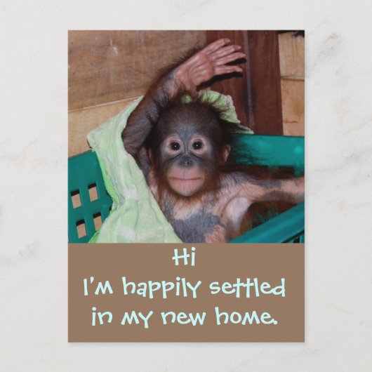 Schattigee nieuwe thuisadreswijziging aankondigingskaart (Voorkant)