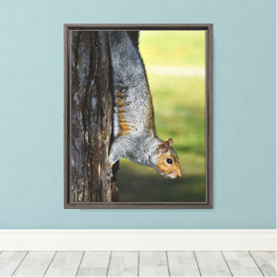 Schattigee Oosterse Grijze Eekhoorn Natuur Foto Canvas Afdruk