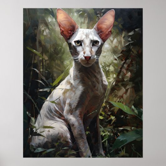 Schattigee Oosterse Korthaar Cat Art Print Poster (Voorkant)