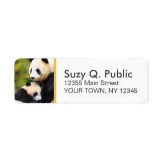Schattigee Panda Beer Aangepaste Adresetiketten Etiket