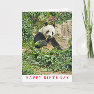 Schattigee panda eten verjaardagskaart kaart