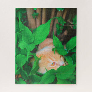 Schattigee Peeking Cat fotoprint Legpuzzel
