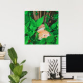 Schattigee Peeking Cat fotoprint Poster (Thuiskantoor)