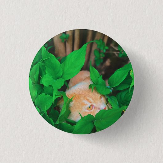 Schattigee Peeking Cat fotoprint Ronde Button 3,2 Cm (Voorkant)