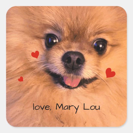 Schattigee Pet Dog Pomeranian Valentijn voor kinde Vierkante Sticker (Voorkant)