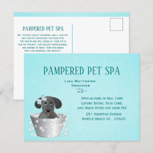 Schattigee Pet Groomer Budget Marketing Briefkaart