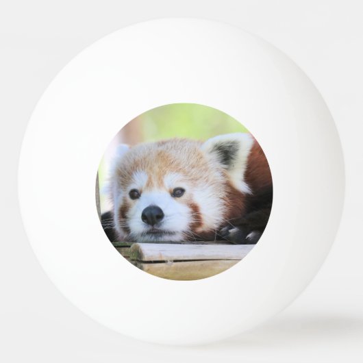 Schattigee Ping Pong Ball (Achterkant)